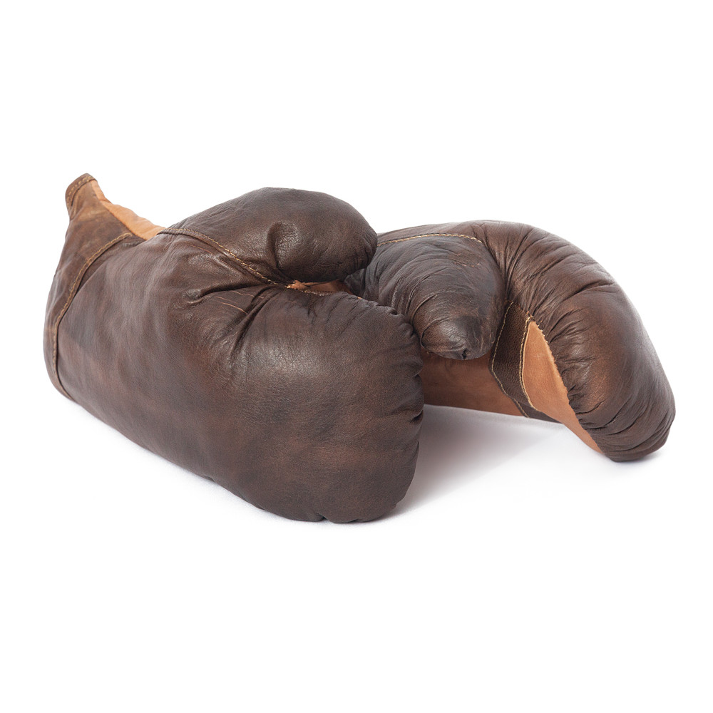 Боксерские перчатки Secret De Maison Панч (PUNCH) ( mod. M-1202G ) — коричневый