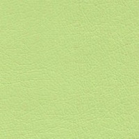 3016 светло-зеленый (Коллекция &QUOTСанторини") (матовый, экокожа)